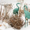 winter in the garden, snow, birdbath, and green finish storks