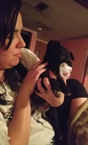 Caring for a Dog with Parvo - woman holding a black puppy