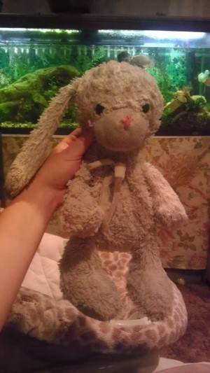 Identifying a Vintage Stuffed Bunny - well loved stuffed bunny