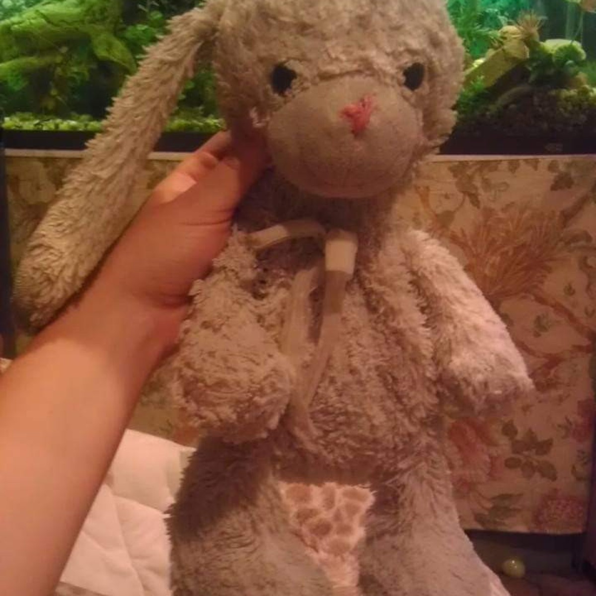 Old stuffed bunny best sale
