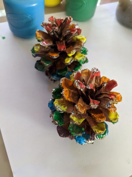 Rainbow Pinecone Ornaments  - rainbow painted cones