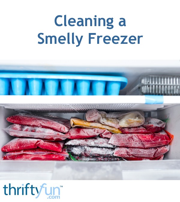 Cleaning a Smelly Freezer ThriftyFun