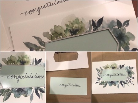Congratulations Gift Bag - create your message to fit