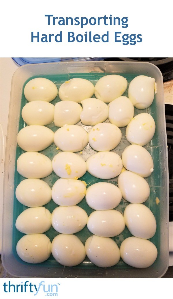 Transporting Hard Boiled Eggs ThriftyFun