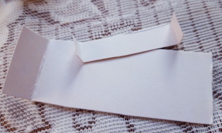 Paper Plate Hedgehog - fold up both ends on the smaller rectangle