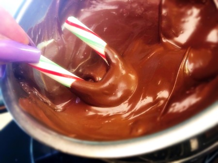 candy cane handle dipped in chocolate