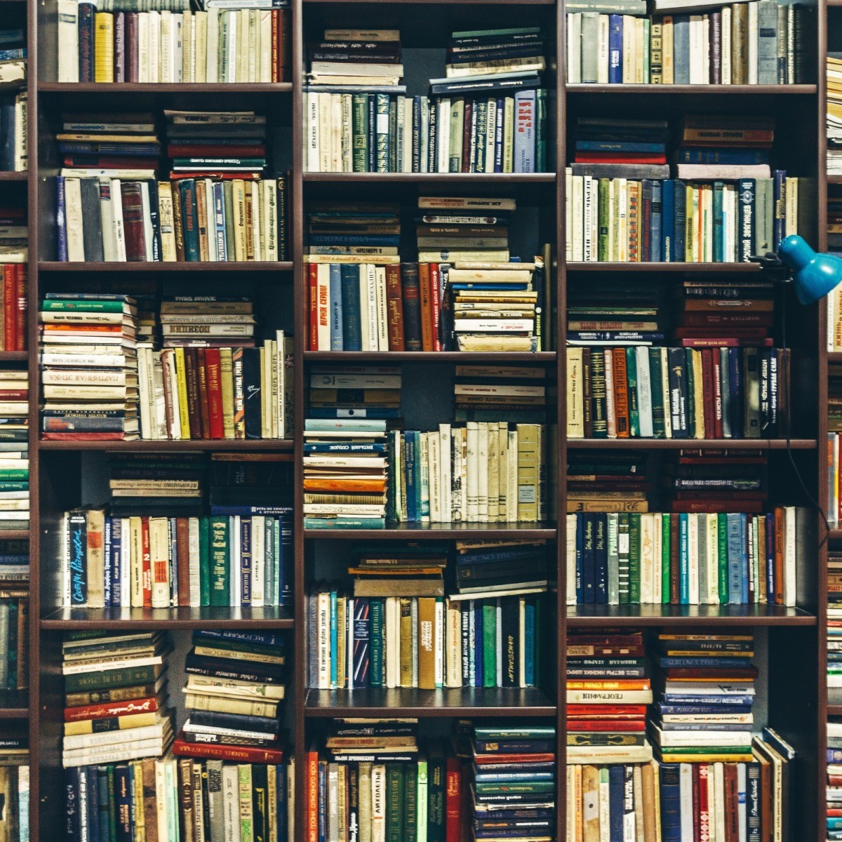 Storing Books On Shelves ThriftyFun