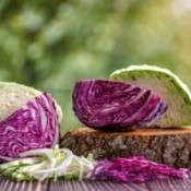 cut red & green cabbage