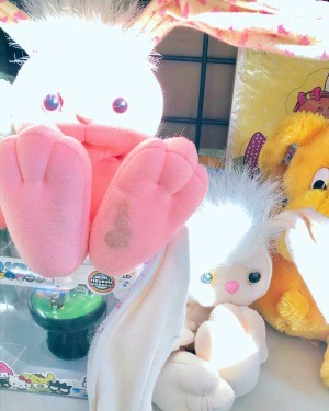 Identifying a Stuffed Bunny - stuffed white bunnies with pink feet on the bottom