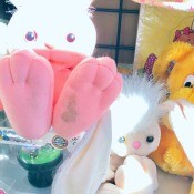 Identifying a Stuffed Bunny - stuffed white bunnies with pink feet on the bottom