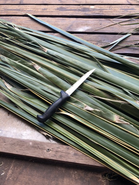 Making A Coconut Leaf Broom - supplies