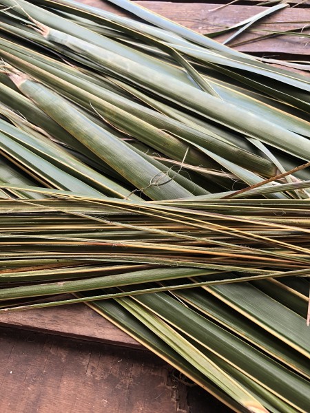 Making A Coconut Leaf Broom - use knife to remove the leaf from the stem