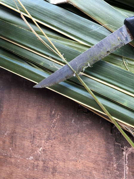 Making A Coconut Leaf Broom - use knife to clean all of the leaf material from the stem