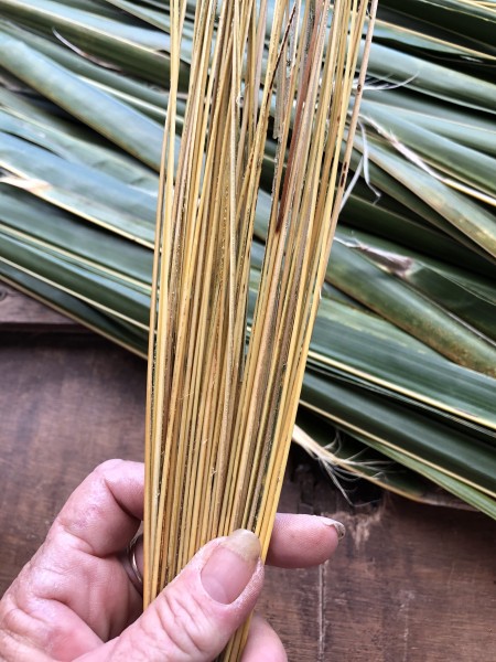 Making A Coconut Leaf Broom - broom almost finished