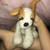 Identifying a Stuffed Dog - light brown and white stuffed dog