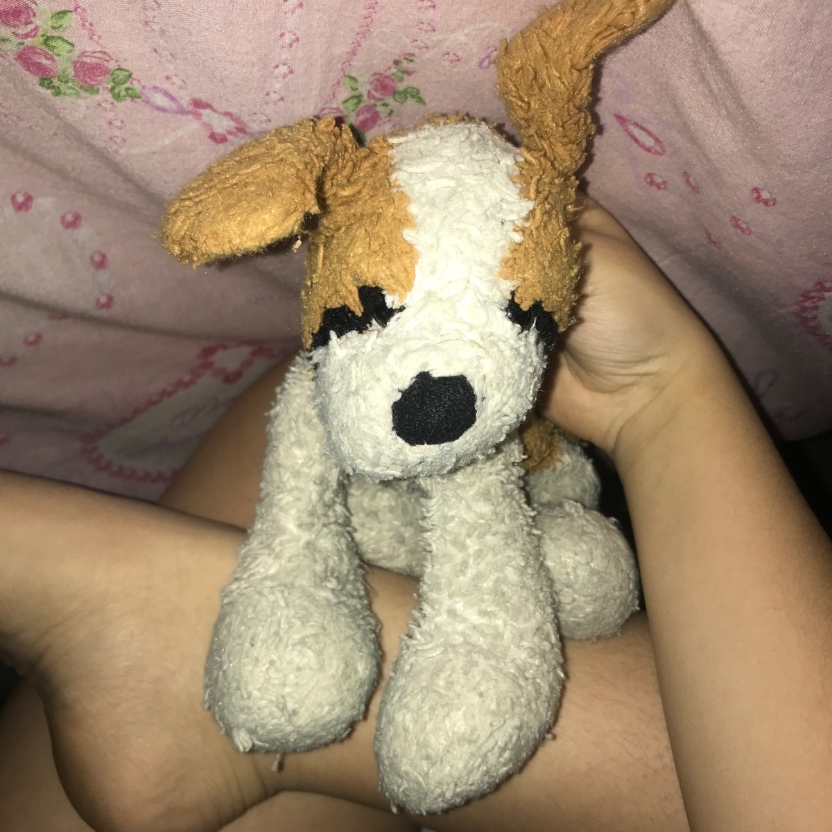 doggie stuffed animal