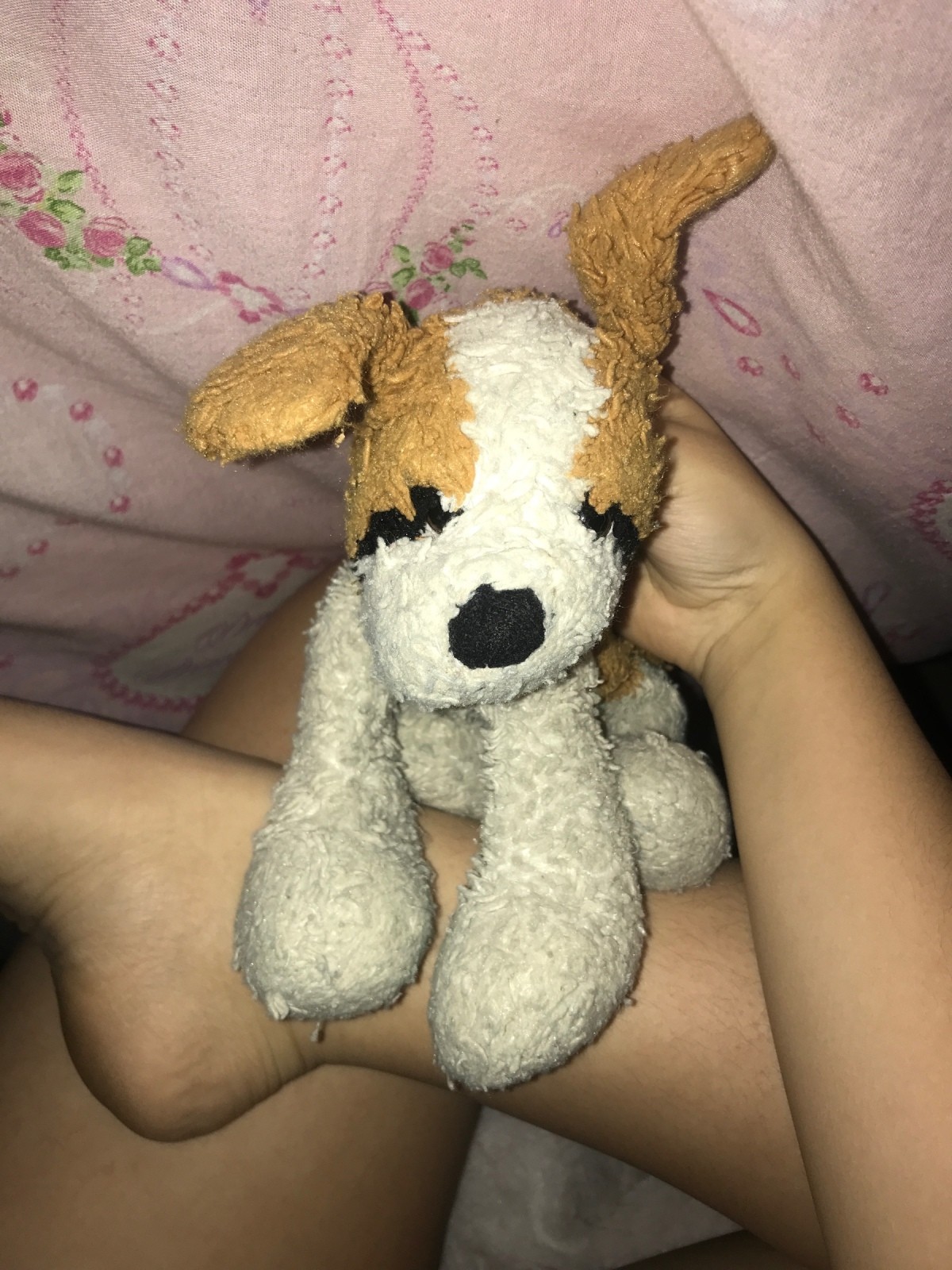 stuffed dog brown