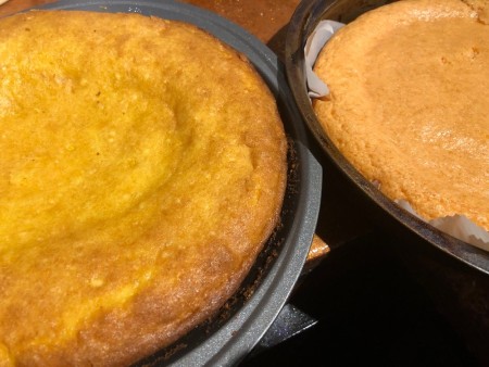 UFO Cow Abduction Cake - lemon and orange cakes in their pans