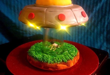 UFO Cow Abduction Cake - cake with the fairy lights in place