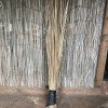 Making A Coconut Leaf Broom - finished broom