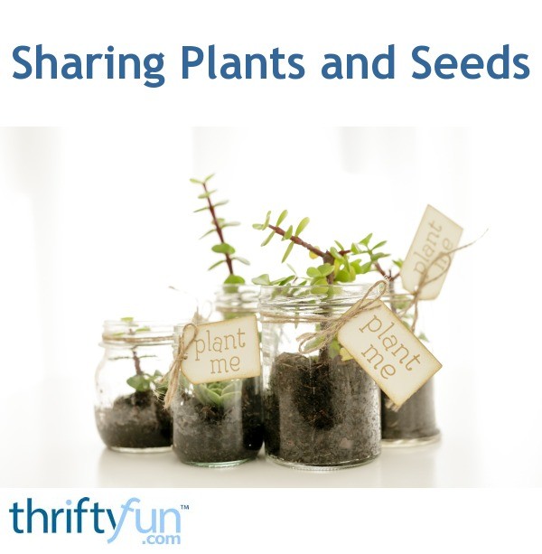 sharing-plants-and-seeds-thriftyfun