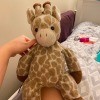 Identifying a Stuffed Giraffe - stuffed giraffe toy