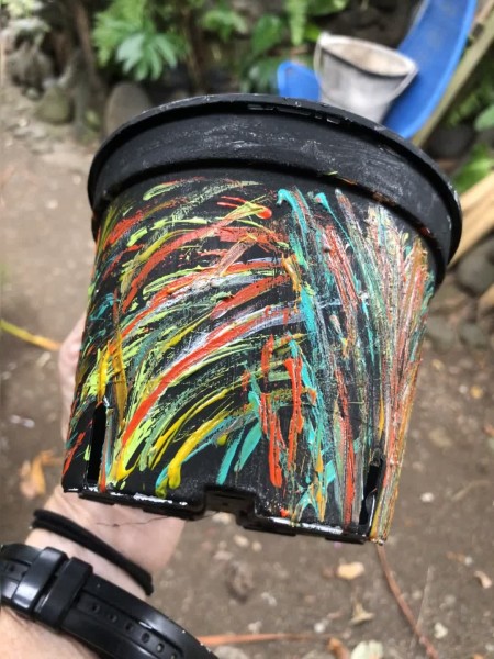 Decorative Planter Pots - abstract dashes of color on black pot