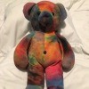 Identifying My Stuffed Bear - multicolor bear