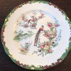 Information on Aynsley China Pattern 5032 - plate with birds and flowering shrubs