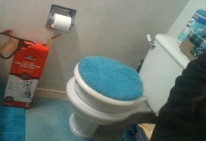 A toilet with a blue toilet seat cover.