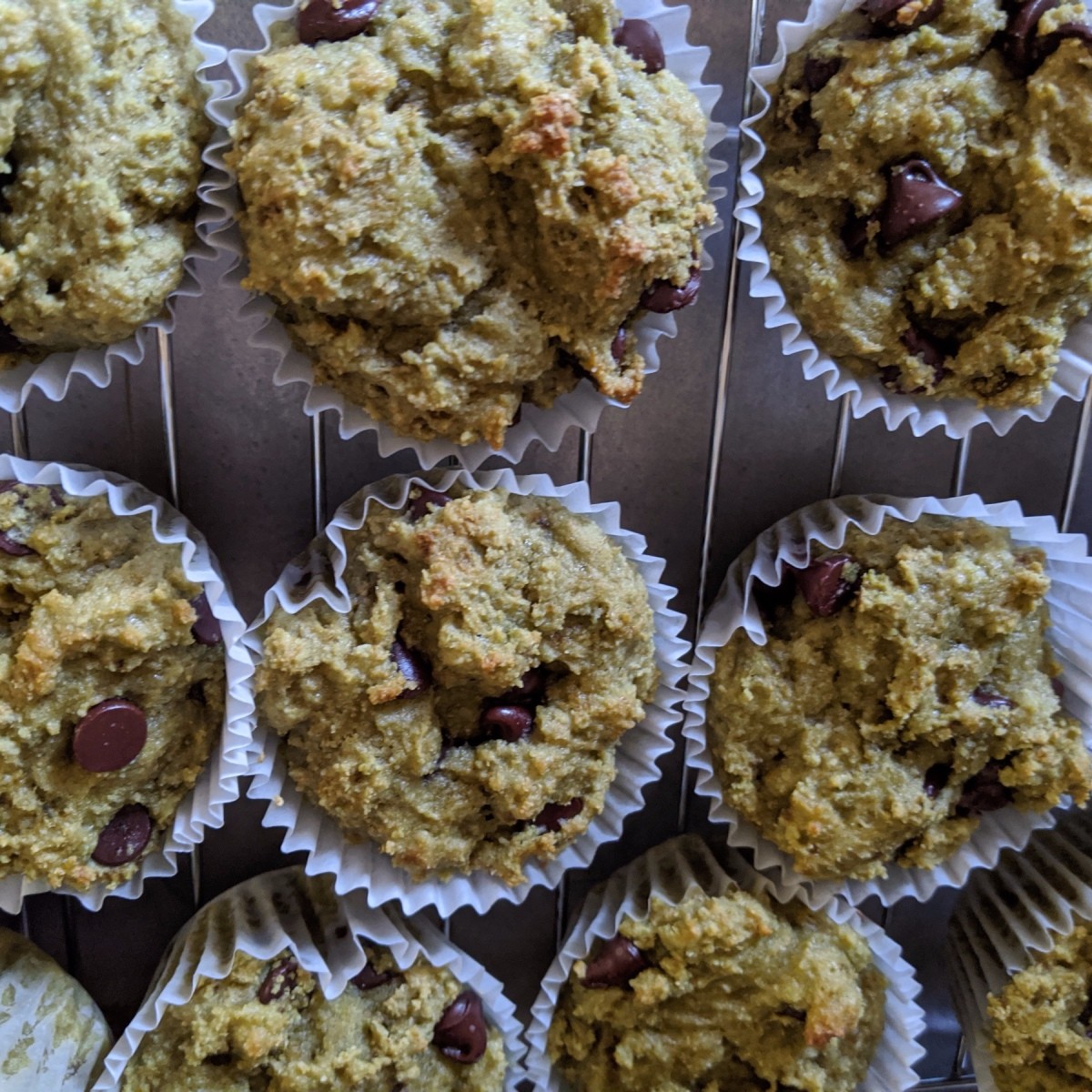 Chocolate Chip Matcha Muffins ThriftyFun