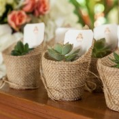 Plant wedding favors.