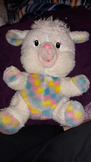 Identifying a Stuffed Toy -stuffed lamb with mulitcolored pastel fabric on ears, feet, and tummy