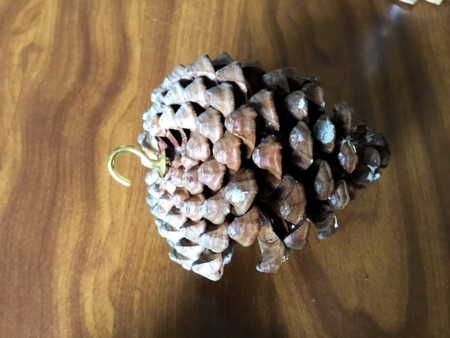 Living Succulent Pine Cone Decor - hook screwed into the base of a pine cone for the hanging version