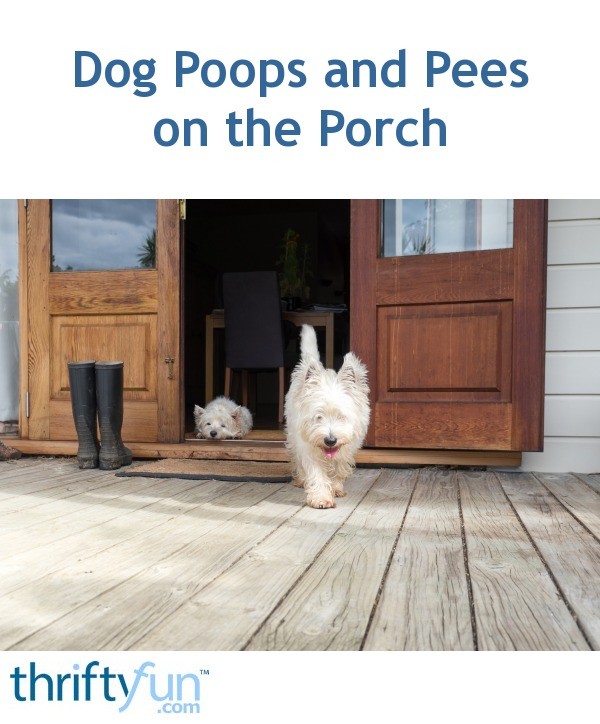 Dog Poops and Pees on the Porch? ThriftyFun