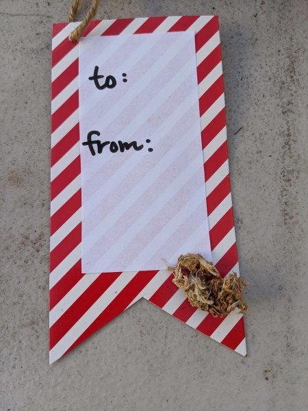 Succulent Gift Tag - glue down a bit of moss