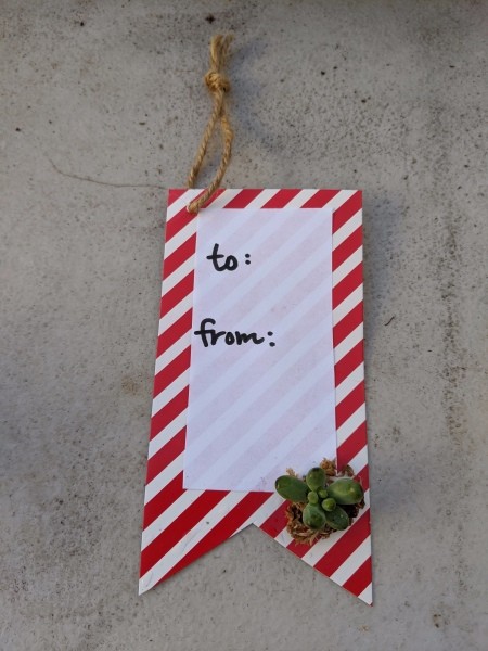 Succulent Gift Tag - arrange tiny pieces of succulents