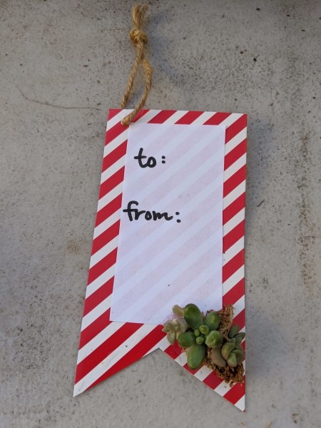 Succulent Gift Tag - glue them in place