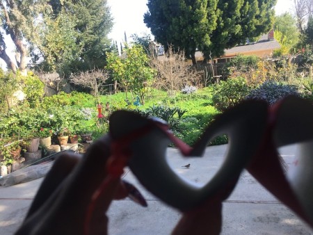 Heart-Shaped Toy Binoculars - view through them