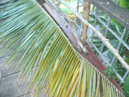 Coconut Leaf Panels - supplies