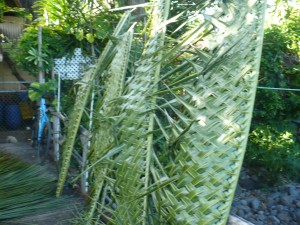 Coconut Leaf Panels - several panels