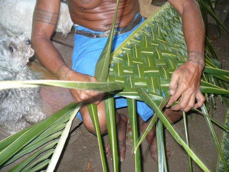Coconut Leaf Panels - the panel grows