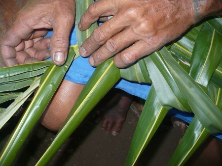 Coconut Leaf Panels - continue