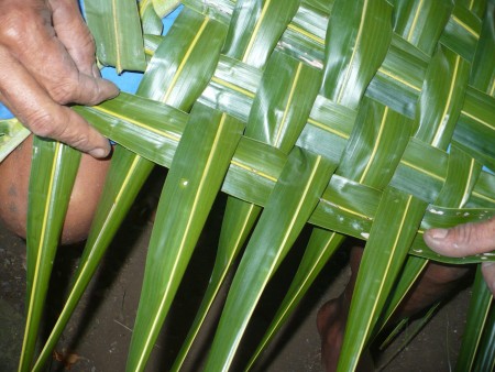 Coconut Leaf Panels - continue