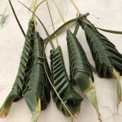 Making Woven Coconut Leaf Shrimp   - finished leaf shrimp