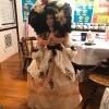Value of an Ashley Belle Doll - doll in fancy dress with a peplum and a large fancy hat