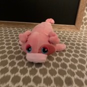 A pink stuffed toy.
