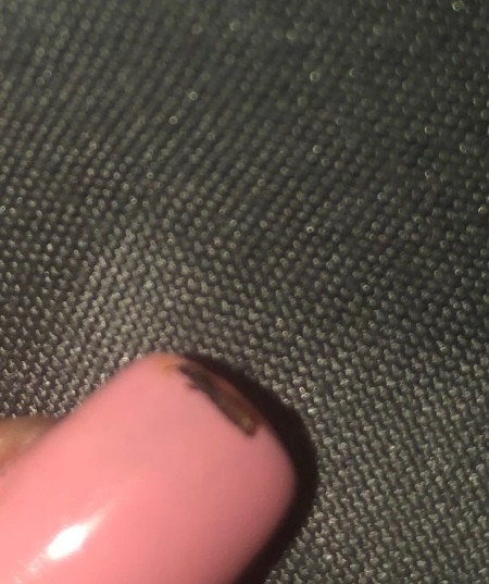 A small bug on a bedspread.