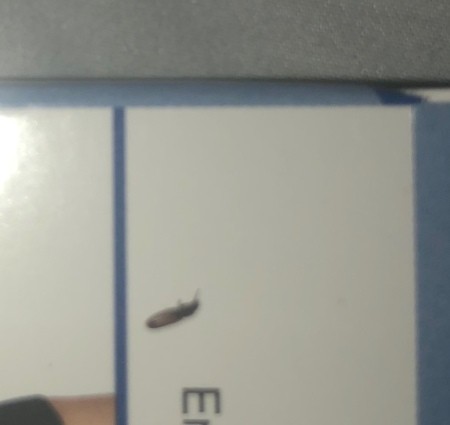 A small bug on some packaging.