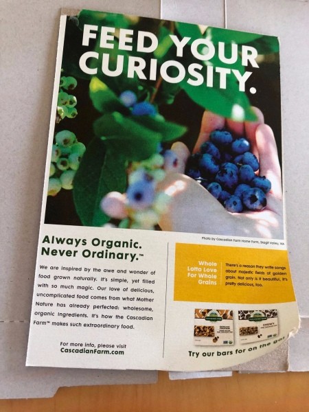 Handmade Valentine's Day Cards - peel off the printed layer